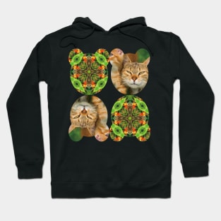 Canna flower patterns that resemble cat eyes. Hoodie